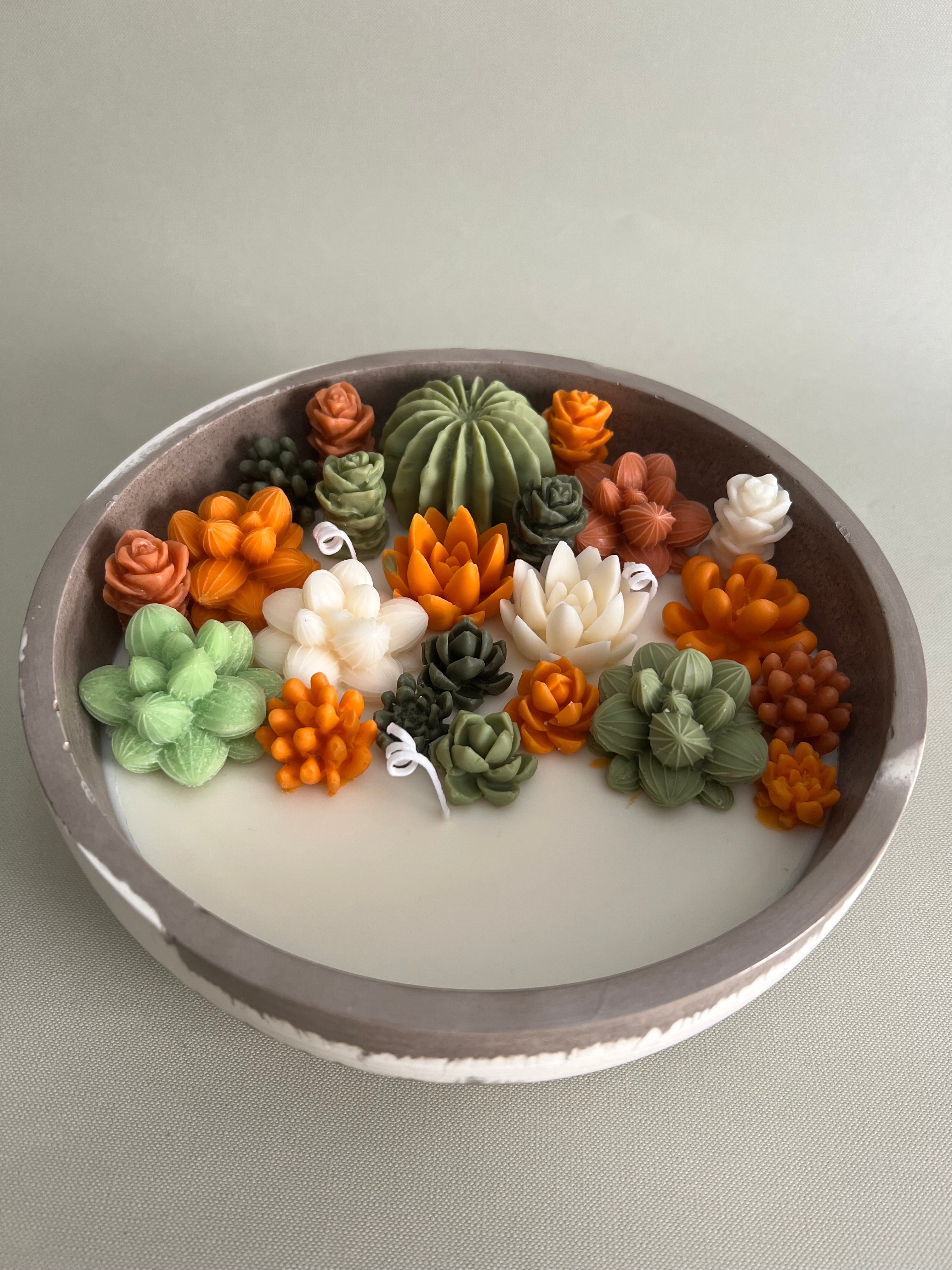 Cactus garden candle